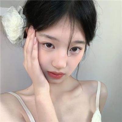 雏菊