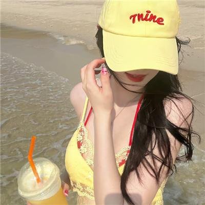 盗贼生涯